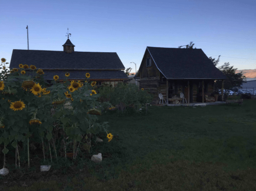 A rustic log cabin surrounded by sunflowers, with a clear sky in the background and a peaceful garden setting.